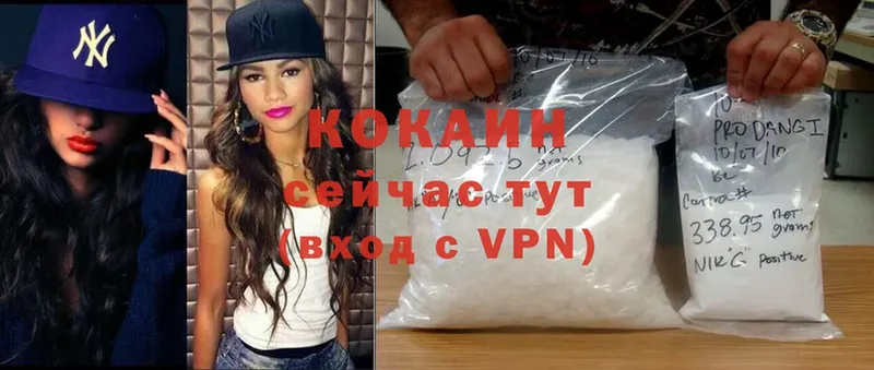 COCAIN Fish Scale  где найти наркотики  Красноперекопск 